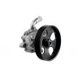 Pompe hydraulique, direction TEKNÖR SPW-FR-014 - Visuel 1