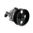 Pompe hydraulique, direction TEKNÖR SPW-ME-021 - Visuel 1