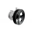 Pompe hydraulique, direction TEKNÖR SPW-PL-006 - Visuel 1