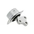 Suspension, boîte automatique TEKNÖR ZPS-PL-025 - Visuel 1