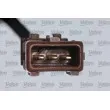 Capteur d'angle, vilebrequin VALEO 366185 - Visuel 2