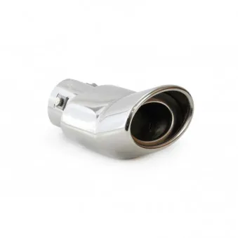 Silencieux arrière inox MT 005 AMIO 01305
