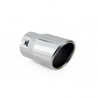 Silencieux arrière inox MT 007 AMIO