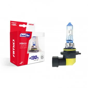 Lot de 2 Ampoules halogène HB4 AMIO 02104