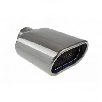 Silencieux arrière inox MT 019BC AMIO 02192