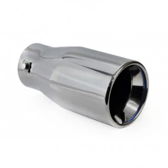 Silencieux arrière inox MT 018BC AMIO 02196
