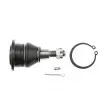 Rotule de suspension TEKNÖR ZST-HD-001 - Visuel 3