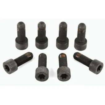 Visserie, volant moteur SACHS 1874 000 005
