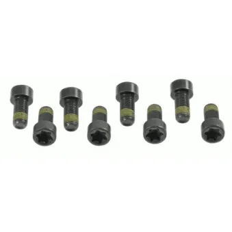 Visserie, volant moteur SACHS 1874 000 006