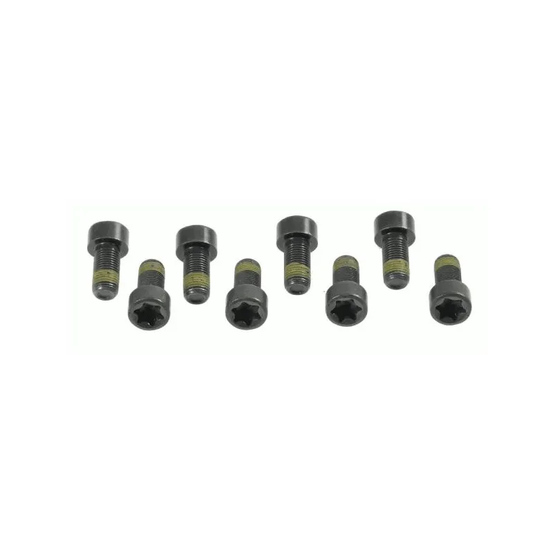Visserie, volant moteur SACHS 1874 000 006
