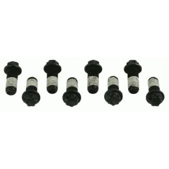 Visserie, volant moteur SACHS 1874 000 029