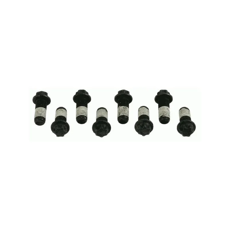 Visserie, volant moteur SACHS 1874 000 029