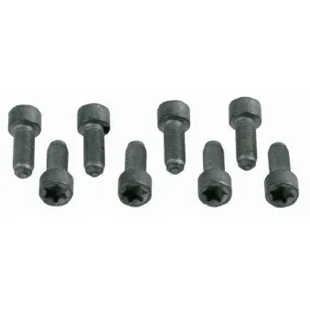 Visserie, volant moteur SACHS 1874 000 031