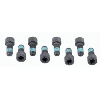 Visserie, volant moteur SACHS 1874 000 032