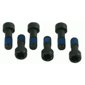 Visserie, volant moteur SACHS 1874 000 035