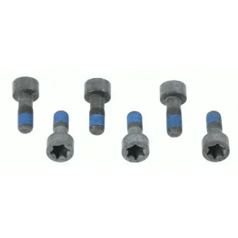 Visserie, volant moteur SACHS 1874 000 041