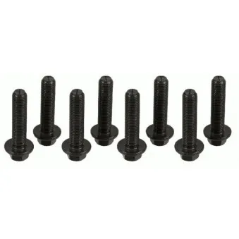 Visserie, volant moteur SACHS 1874 000 042