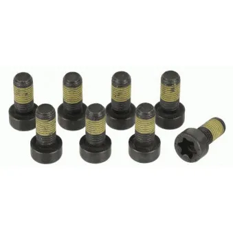 Visserie, volant moteur SACHS 1874 000 044