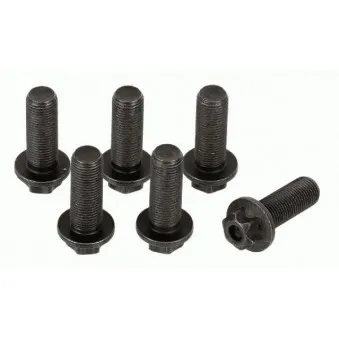 Visserie, volant moteur SACHS 1874 000 045