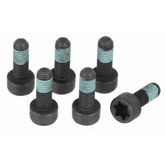 Visserie, volant moteur SACHS 1874 000 046