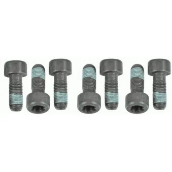 Visserie, volant moteur SACHS