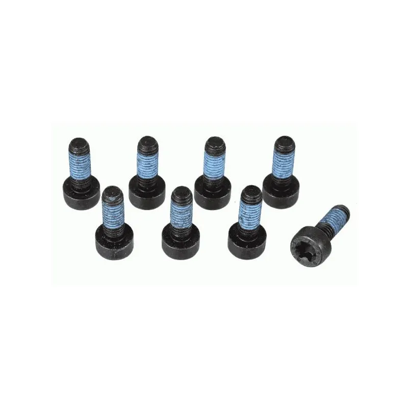 Visserie, volant moteur SACHS 1874 000 073