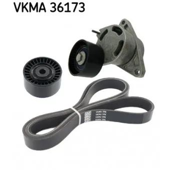 Jeu de courroies trapézoïdales à nervures SKF VKMA 36173