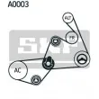 Jeu de courroies trapézoïdales à nervures SKF VKMAF 31020-1 - Visuel 2