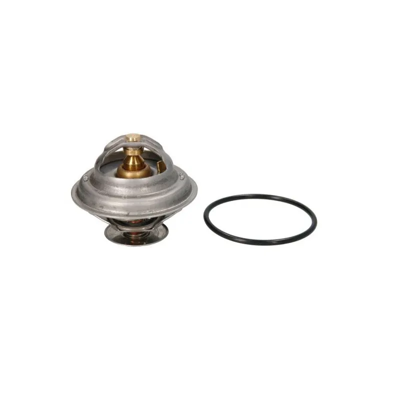 Thermostat d'eau THERMOTEC D2PE005TT
