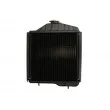 Radiateur, refroidissement du moteur THERMOTEC D7AG164TT - Visuel 2
