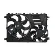Ventilateur, refroidissement du moteur THERMOTEC D8V001TT - Visuel 2