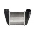 Intercooler, échangeur THERMOTEC DAA017TT - Visuel 1