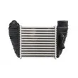 Intercooler, échangeur THERMOTEC DAA017TT - Visuel 2