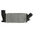 Intercooler, échangeur THERMOTEC DAC011TT - Visuel 1