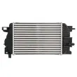 Intercooler, échangeur THERMOTEC DAX017TT - Visuel 2