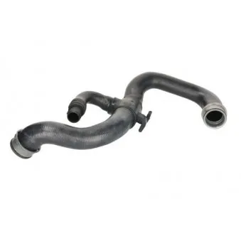 Durite de radiateur THERMOTEC DWM135TT