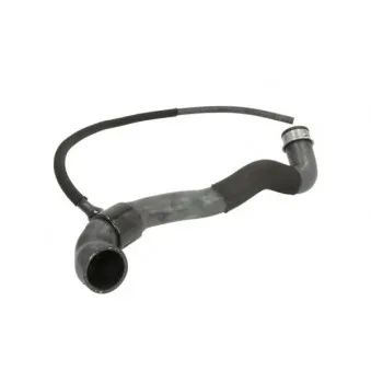 Durite de radiateur THERMOTEC DWM141TT