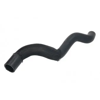 Durite de radiateur THERMOTEC DWP158TT