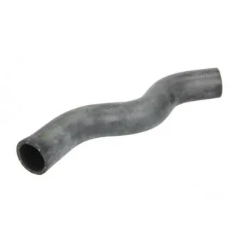 Durite de radiateur THERMOTEC DWP163TT