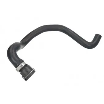 Durite de radiateur THERMOTEC DWW304TT