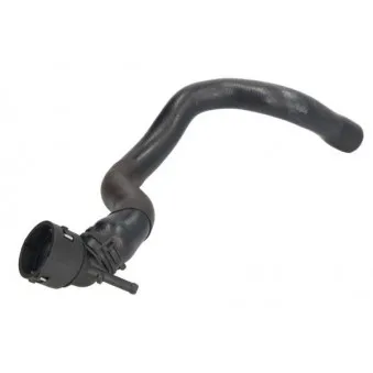 Durite de radiateur THERMOTEC DWW313TT