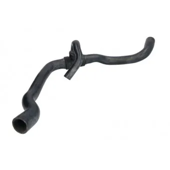 Durite de radiateur THERMOTEC DWX149TT