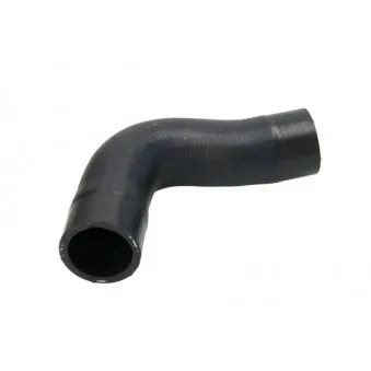 Durite de radiateur THERMOTEC DWX240TT