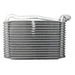 Evaporateur climatisation THERMOTEC KTT150017 - Visuel 1