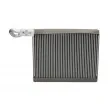 Evaporateur climatisation THERMOTEC KTT150054 - Visuel 1