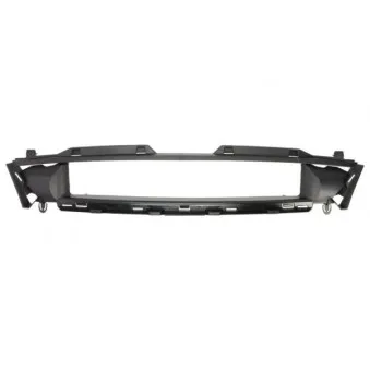 Grille de radiateur BLIC 5601-00-2563990P