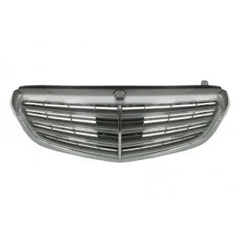 Grille de radiateur BLIC 5601-00-3529992Q