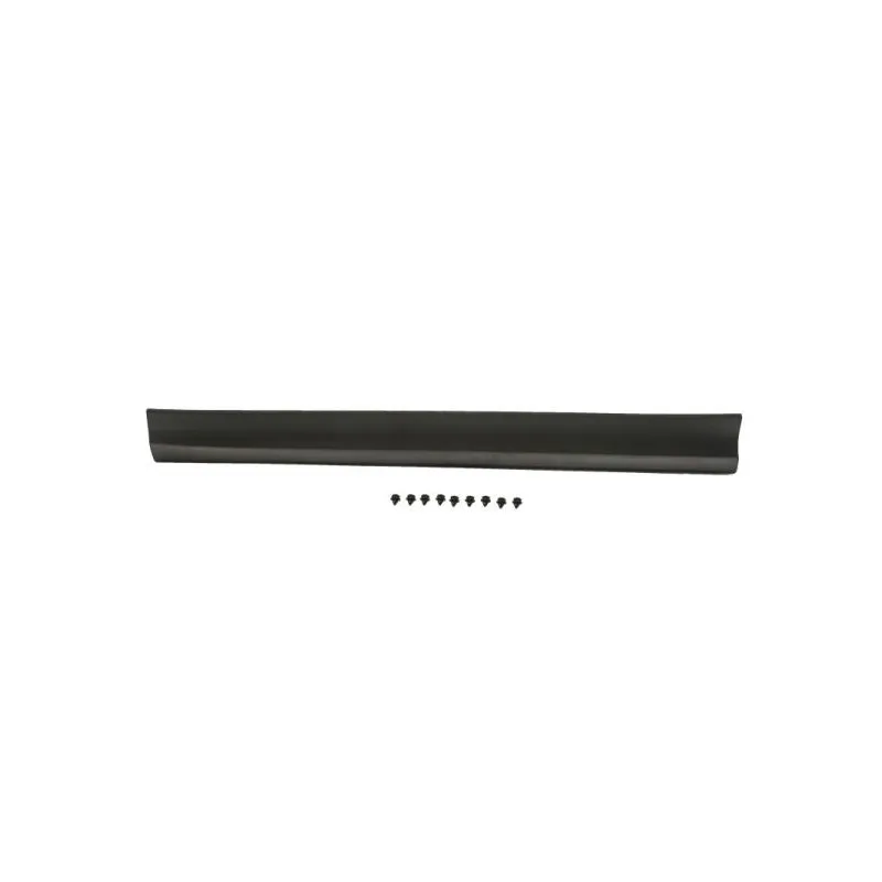 Baguette et bande protectrice, porte avant gauche BLIC 5703-02-6738491P