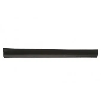 Baguette et bande protectrice, porte avant droit BLIC