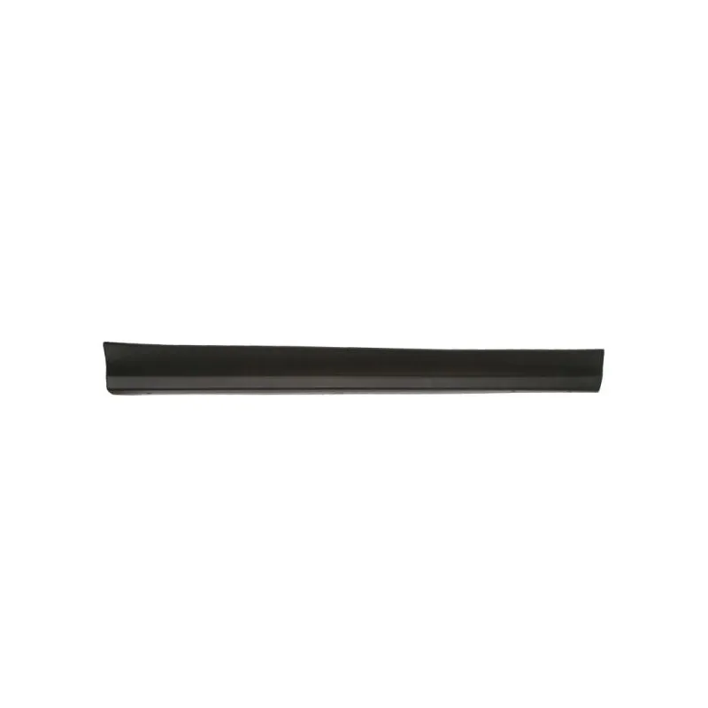 Baguette et bande protectrice, porte avant droit BLIC 5703-02-6738492P